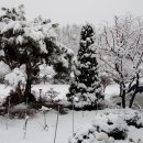 거창펜션 이미지