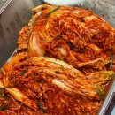 '태백고원김치' 배추김치 추천 내돈내산 솔직후기