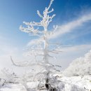 회생당약국 이미지