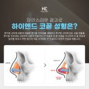 하이엔드성형외과의원 이미지