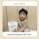 에코맘어린이집 | 모모래빗 에코컴포트핏 솔직후기 흡수력 좋은 아기 기저귀 추천