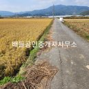 낙안면 행정복지센터 티스토리
