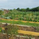 패밀리푸드 이미지