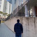 어반베이직 네이버블로그