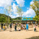 용문시장 체험코스 이미지