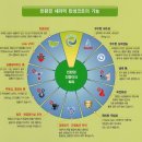 엠코타운더프라하 Daum카페