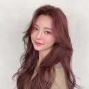 살롱더함