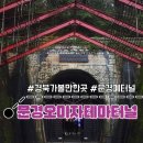 문경 오미자테마터널 | [문경가볼만한곳/경북문경여행] 🍒&#39;문경오미자테마터널&#39; 방문 후기