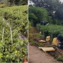 일월면사무소 이미지