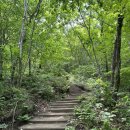 고봉이네 이미지