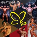목동PT 임펄스핏 이미지