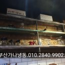 부산산업사 이미지