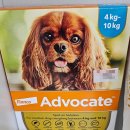 서정온누리약국 이미지