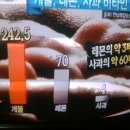 천기누설 고혈압에 개불 이미지