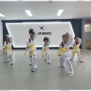 교동태권도 이미지