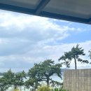 비고리조트 8 이미지