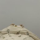 조원장 토탈뷰티
