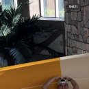 미드미짐 이미지