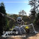 경기도 할로윈 카페 유명한 곤지암반디숲 방문 후기