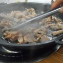 낭낭오리집 티스토리