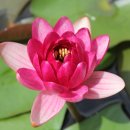 탐라신화공원 이미지