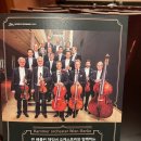 빈 베를린 체임버 오케스트라와 함께하는 2025 신년음악회 이미지