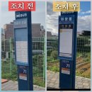 작은앵골 이미지