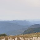 진부목장 이미지