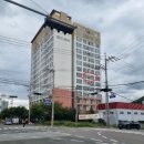 월드피아 이미지