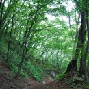 바우길 2구간 이미지