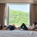 허브웰니스클럽 | 강원도 힐링 호캉스 추천, 정선 파크로쉬 리조트 웰니스 프로그램 예약 방법 및 꿀팁