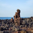 제주 비양도 호니토 이미지