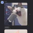 지니_오