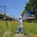 고잔역뒤편 이미지