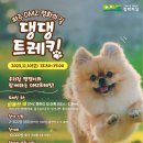 파주 DMZ 평화의 길 반려견과 함께하는 댕댕트레킹 행사 안내 / 23.11.10.(금) 이미지