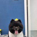 멍멍's 연구소 이미지