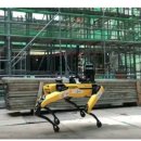 자이태양광발전소 이미지