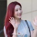조이헤어레드