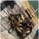 하늘낚시공원낚시터 이미지