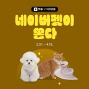 제리 이미지