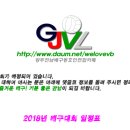 2018 생활체육 배구대회 일정표(3월 2일 현재) 이미지