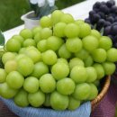 선봉축산 이미지