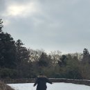 펜션 숲 | 제주도펜션 삼다숲펜션 주말 1박 후기