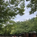 운문산 군립공원야영장 이미지