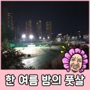 종합운동장 풋살구장 이미지