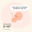 팝핀돼지 | [임신16-17주] 순병원 2차기형아검사 젠더리빌이벤트 임산부 미주신경성실신
