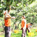 한화농장 이미지