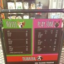 퍼피아이애견 이미지