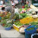 풍물기행 이미지