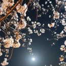 리타헤어 이미지